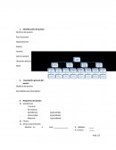 Formato analisis de puesto