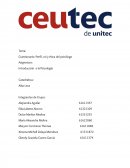 Perfil, rol y ética del psicologo