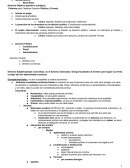 Esquema introducción a civil