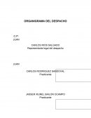 ORGANIGRAMA DEL DESPACHO. Practicas profesionales