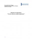 Test de esfuerzo cardiorrespiratorio