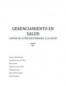 GERENCIAMIENTO EN SALUD.