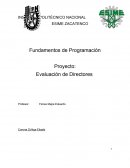 Bases para un Programa