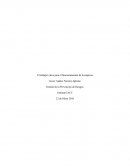 El trabajor clave para el funcionamiento de la empresa.