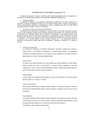 La ética del cuidado.