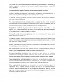 ESTRATEGIA DE COCA COLA