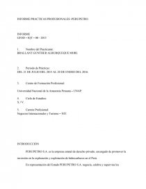 INFORME PRACTICAS PROFESIONALES -PERUPETRO... Página 1