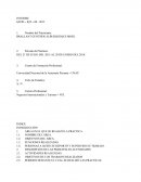 Informe PERUPETRO - PRACTICAS PROFESIONALES