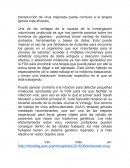 Transducción de virus mejorada puede conducir a la terapia génica más eficaces.