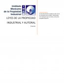 Ejemplo trabajo IMPI