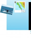 Analisis del PIB en Baja California Sur
