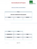 Acta de constitucion ACHS.