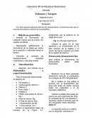Observacion de las características y condiciones para que un movimiento rectilíneo uniforme se cumpla(MRU), .