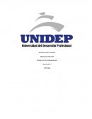 Unidep torreón independencia.