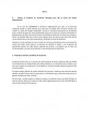 Plantee el problema de Eurobrand utilizando para ello la teoría del Diseño Organizacional.