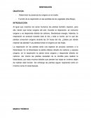 Función de la respiración en las semillas de los vegetales (Zea Mays).