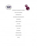 Clasificación y propiedades de la materias.