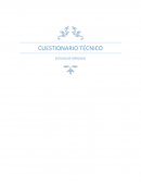 Ejemplo de un Cuestionario Técnico (Investigación de Mercados).