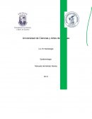 Comunidades indígenas de Chiapas con obesidad.