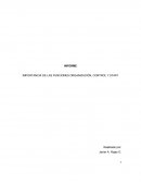 IMPORTANCIA DE LAS FUNCIONES ORGANIZACIÓN, CONTROL Y STAFF.