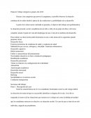 Pauta de Trabajo integrativo grupal.