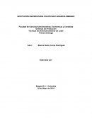 Técnicas de Dimensionamiento de Lotes.