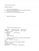 CASO JUGUETERÍA GEPETTO.