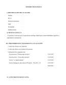 INFORME BASICO PSICOLÓGICO.
