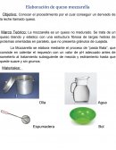 Objetivo: Conocer el procedimiento por el cual conseguir un derivado de la leche llamado queso..