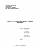 Laboratorio N° 2: Soluciones amortiguadoras y capacidad amortiguadora.
