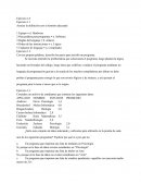 Asociar la definición con el término adecuado: