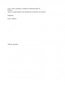 El Cuerpo Humano Como Producto de la Evolución y la Clonación.