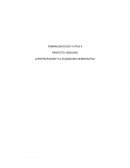 LAPARTICIPACION Y LA CUIDADANIA DEMOCRATICA.