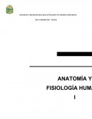 OBJETIVO GENERAL: Introducir en el estudio de la Anatomía y Fisiología Humana dirigido a estudiantes de Naturopatía, para Médicos, Enfermería, y Medicina (Del área de la salud en general).