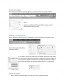 Manual básico word.