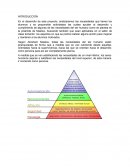 Necesidades fisiologicas.