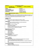 Tema- Descriptor de puestos