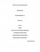 ¿Es la solución del problema de la especie un ideal platónico en la cima de una torre de Babel?