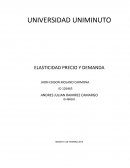 Taller de elasticidad.