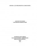 Adiccion a los videojuegos en la Ciudad de Neiva