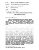 IMPLEMENTACIÓN, FORMALIDAD Y FOMENTACIÓN DEL TELETRABAJO EN PERÚ
