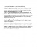 Gerencia de Seguridad Física De Seguros Caracas.