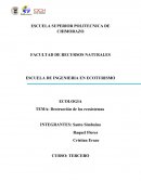 DESTRUCION DE LOS ECOSISTEMAS