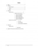 IDEA DEL NEGOCIO: ORGANIZACIÓN DE EVENTOS