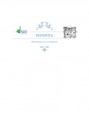 BARCO DE VAPOR POF POF