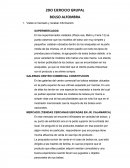 Trabajo de investigacion bolso alfonbra.