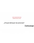 Ensayo Delito y desviacion