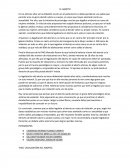 Informe acerca del aborto