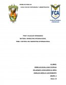 CONTROL DEL MARKETING.