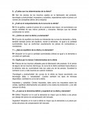 Cuestionario Microeconomia.